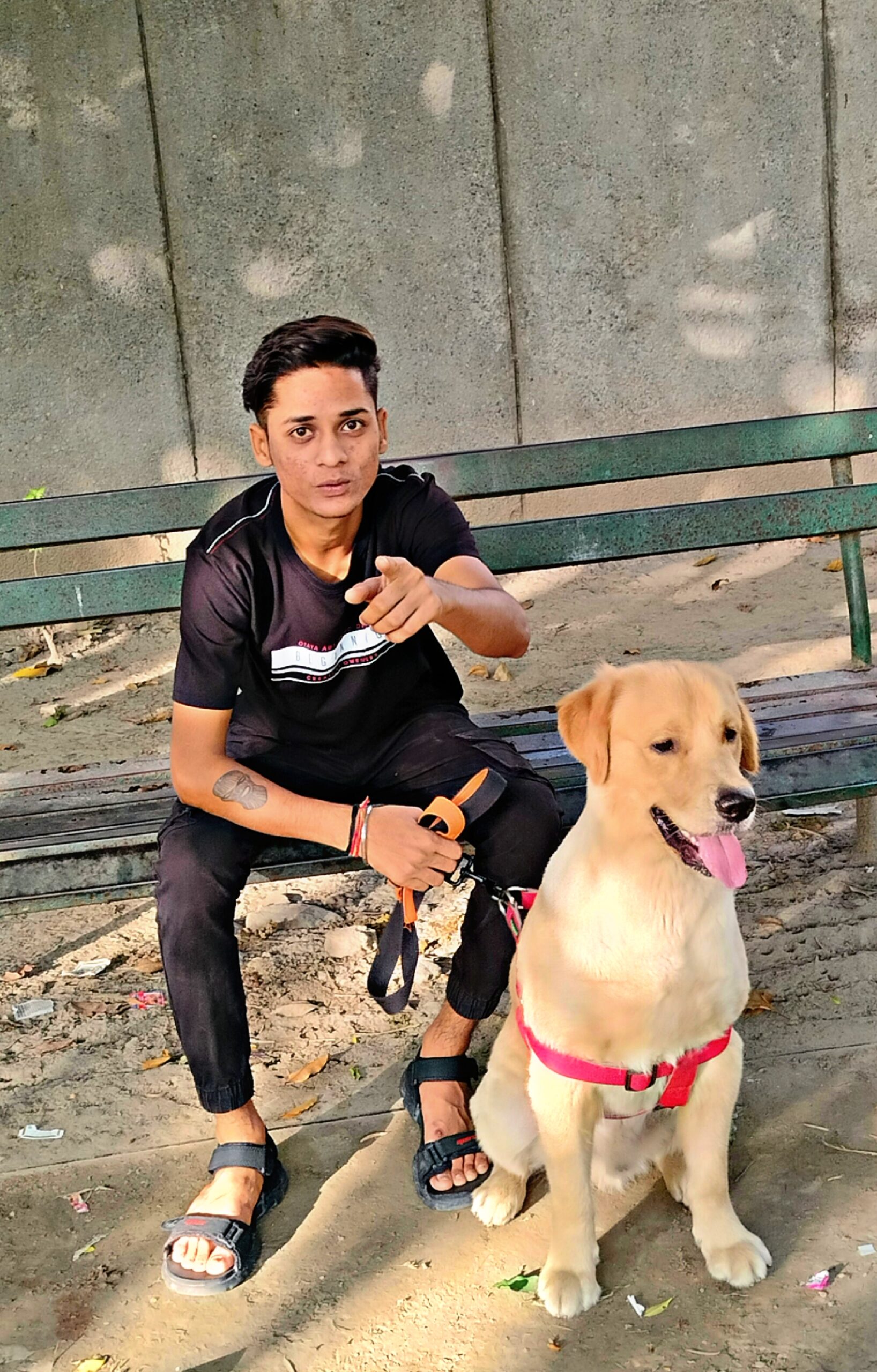 expert dog walking service kohat enclave delhi