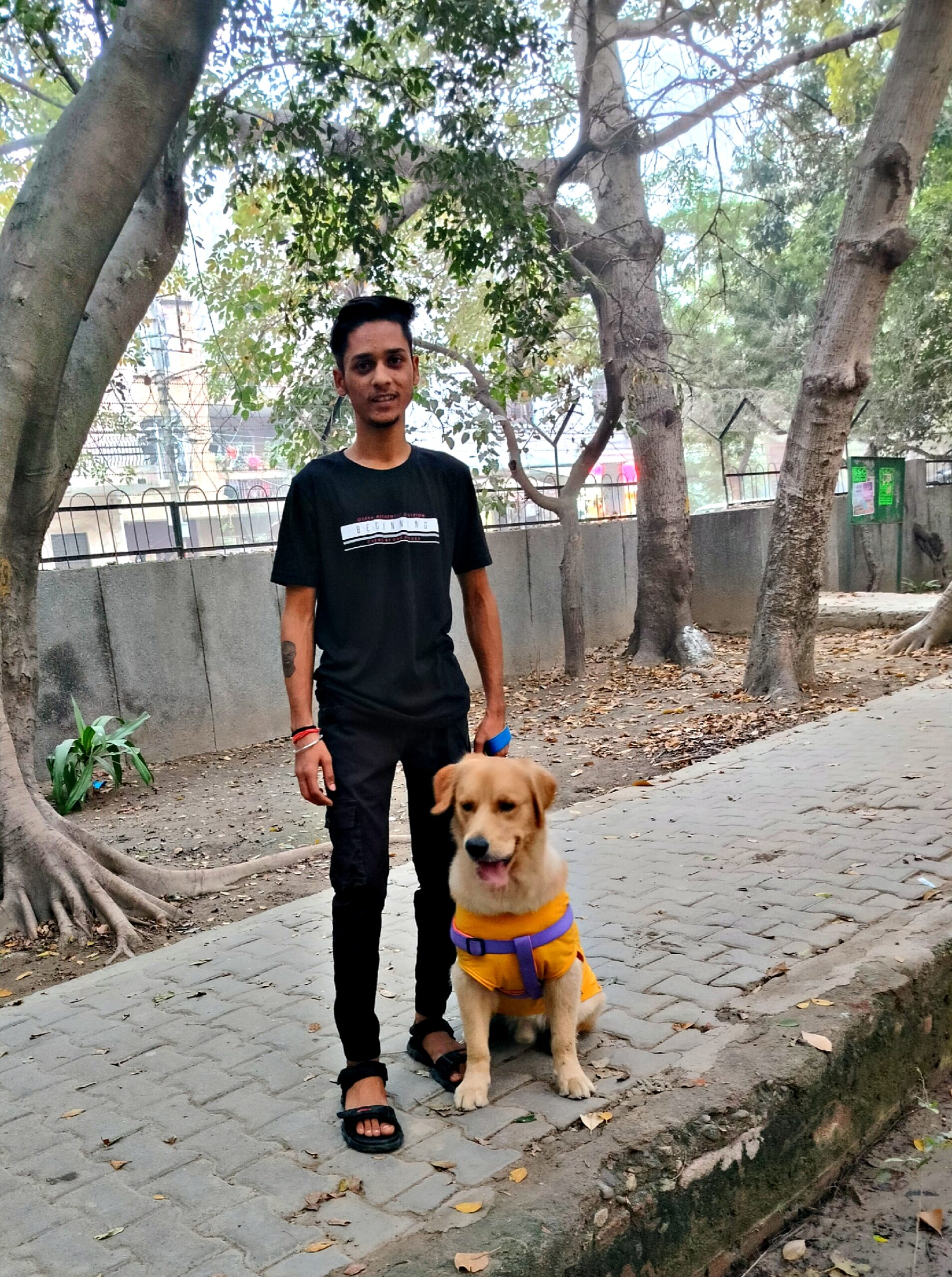 expert dog walking service rohini delhi