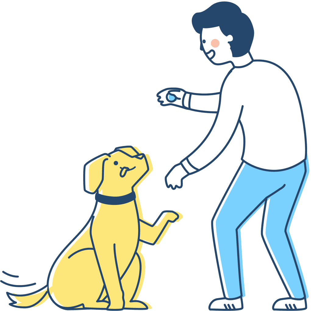 Dog training services - Our services help your dog learn and grow.