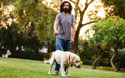 How Dog Walking Services Boost Your Pet’s Well-Being in Delhi?